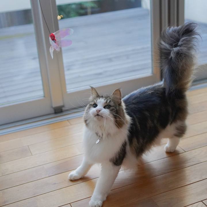 C2b18732 f246 4e79 8745 71f3b6e65378 1608686523343