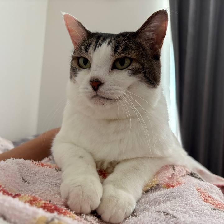 C2b1ad72 d596 4055 8f43 60f97bc5b10b 1758085575640