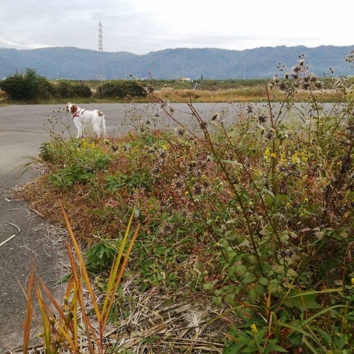 C2b1d40e ef7e 41c6 bedb 7f98c32398fa 1574382143221