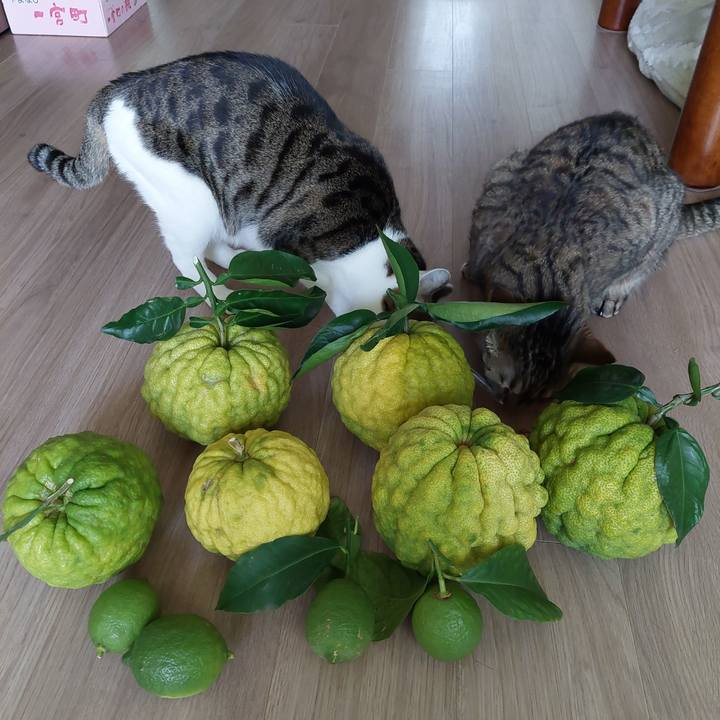 C2b1ec3b fdb5 4480 bc5b 5dd650418c36 1697610296201