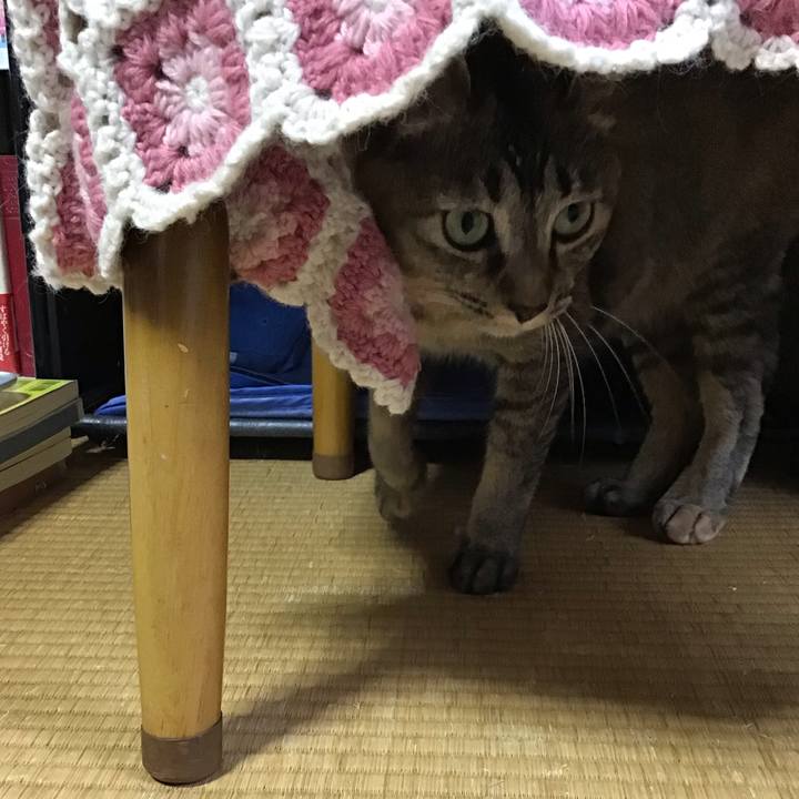 C2b2071e f152 4b95 9293 58bb2670e639 1594376480665