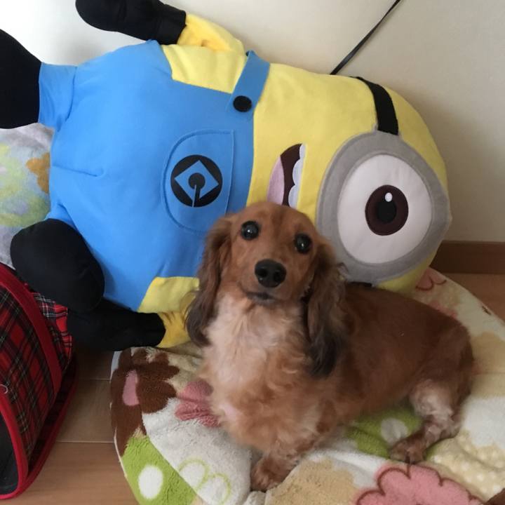 C2b2081c 6db7 4164 8201 43664f11316e 1529312239872