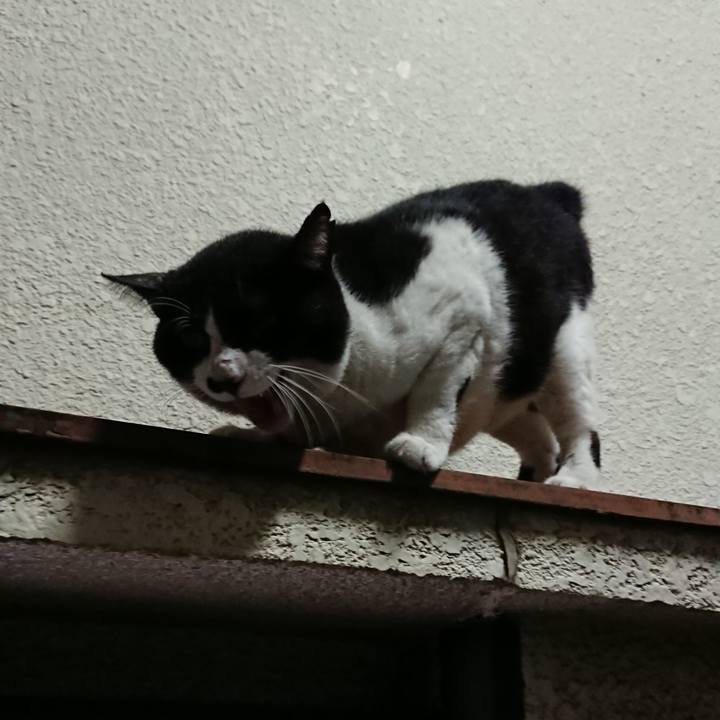 C2b22dd2 3efb 403a ae8f 4b65bbc5bcd6 1535370674387