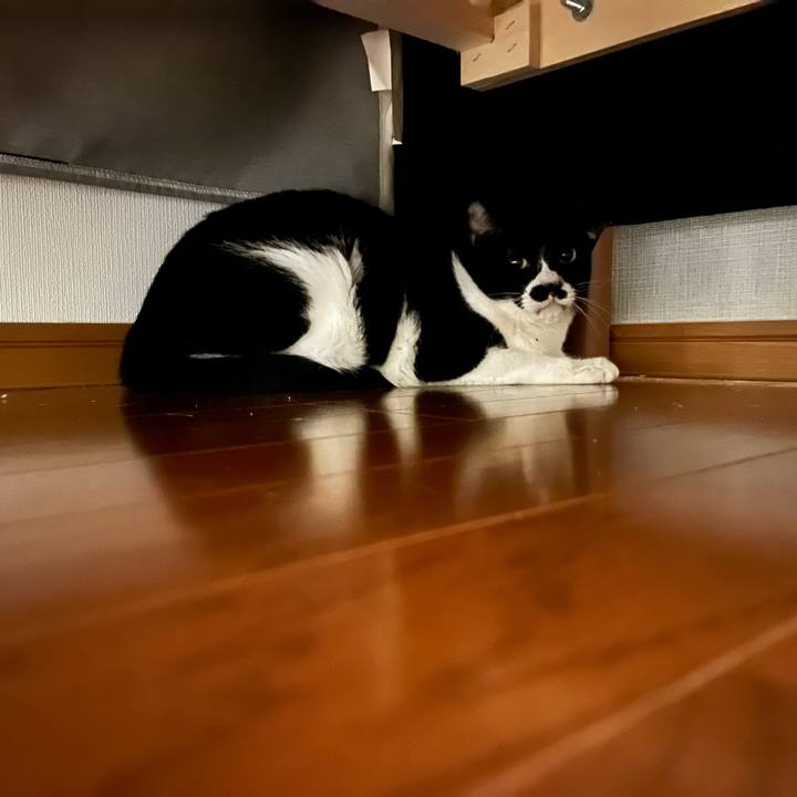 C2b249fb b92a 421e a32d 3a53f7740d69 1651493075501