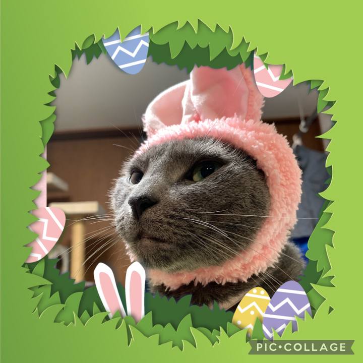 C2b25027 37bd 4d8e 9581 956075ff5d4d 1650195878318