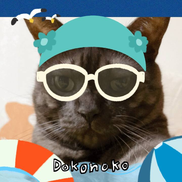 C2b262d1 205f 4b36 b4c6 414137349a63 1723226199569