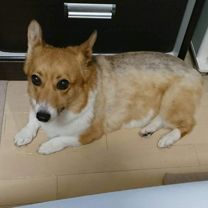 C2b2739c ebb9 48c6 b3f6 fda2e00ba338 1534385843296