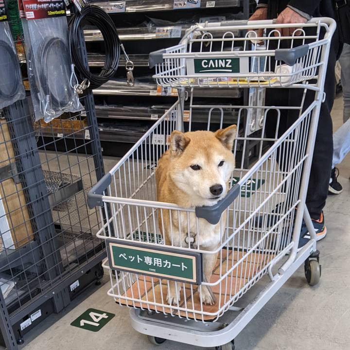 C2b289e1 ac3b 4989 996d 7b65dabc28d6 1677156024573