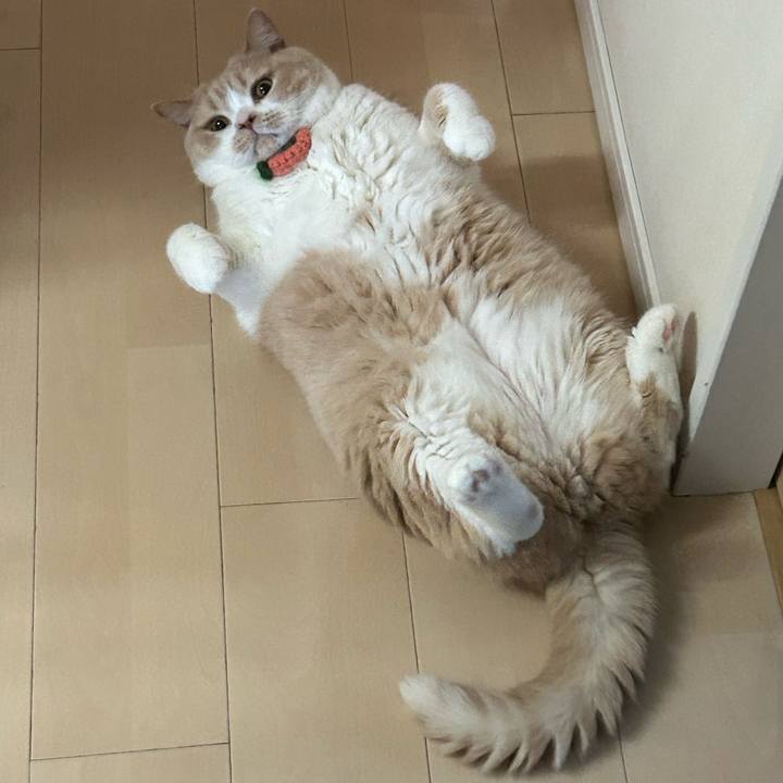 C2b2ad5e b453 445f aa99 e58a9283d39a 1691306630356