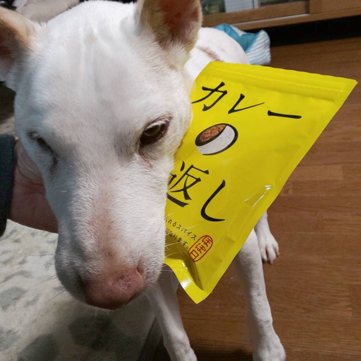 C2b304ec 6e60 4d58 b331 d6f00803f793 1541232985210