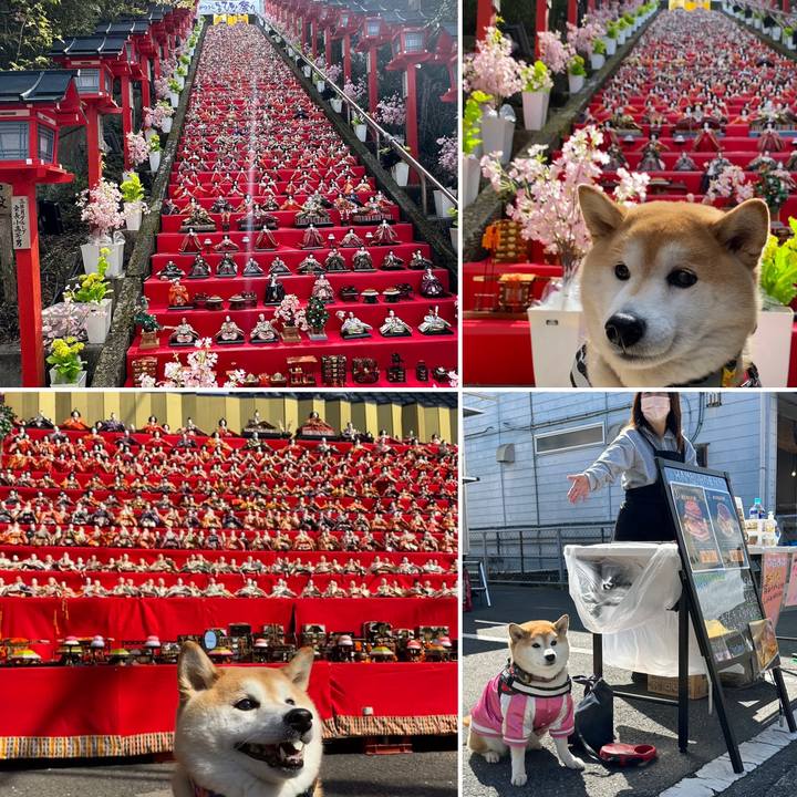 C2b30951 4cd1 4f6c 9b3f b8fa72bfe5e8 1677418766099