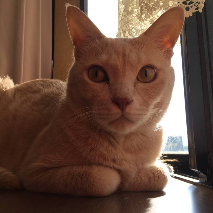 C2b31dd1 597a 4775 8a35 4ffc04bb35e3 1569972292374