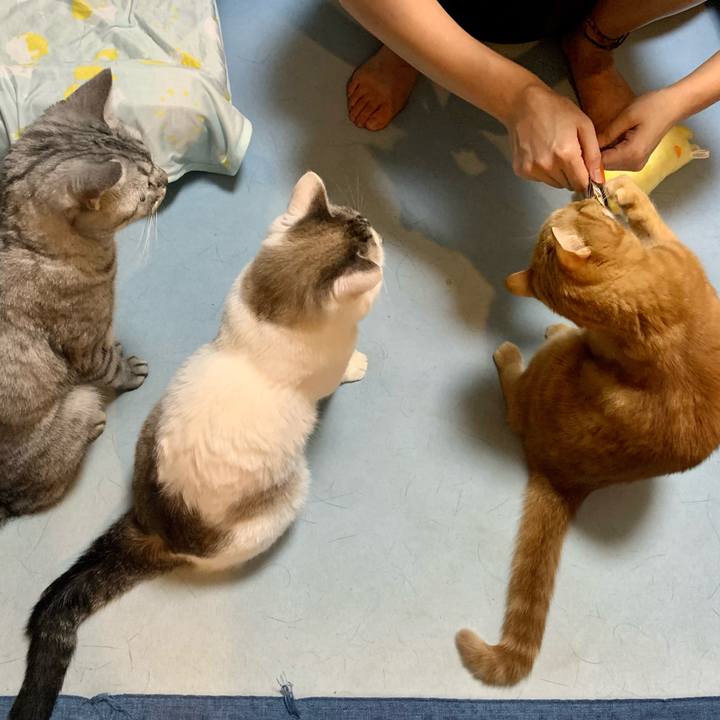 C2b32e6c 7d33 4b82 8b5d bc8496482426 1629414699886