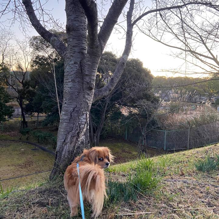 C2b39f75 fe29 4014 ae09 fa17d7bdb35f 1607033986242