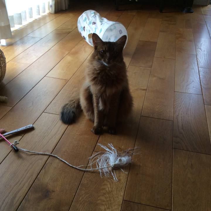 C2b3ae1b f9d0 49bc 98e2 a3fbe491163c 1601343834135