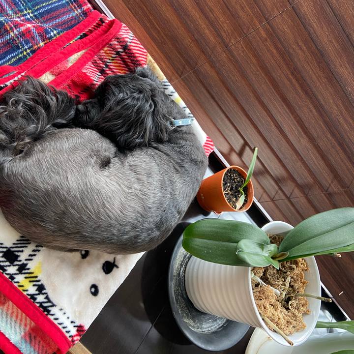 C2b3ae54 a91d 4fd3 bab3 88978f52a338 1625316042776