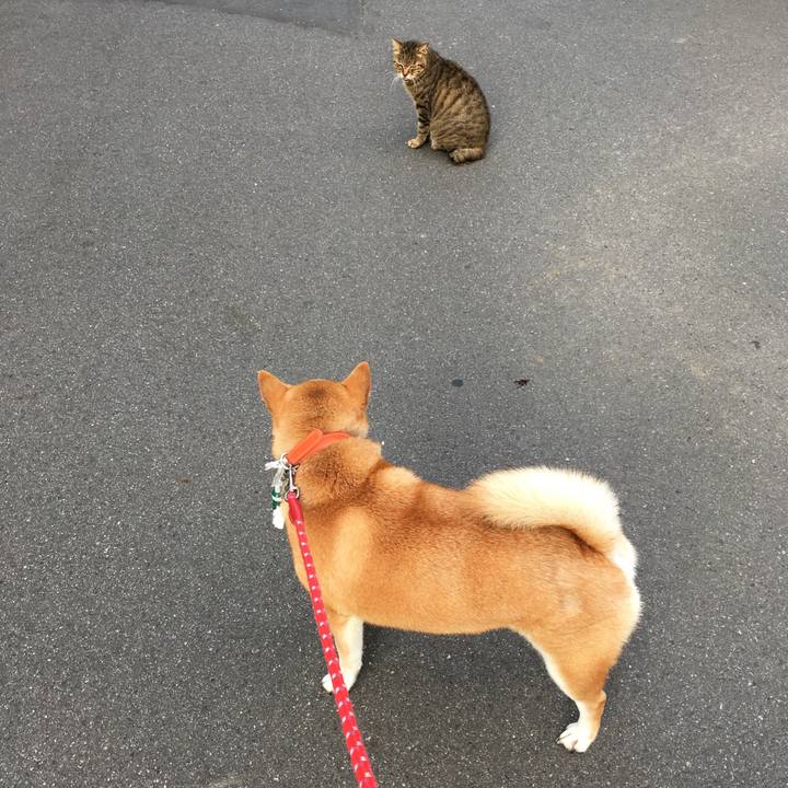 C2b3e0f5 a1f9 4023 aef5 7adfbe6199d8 1613215042653