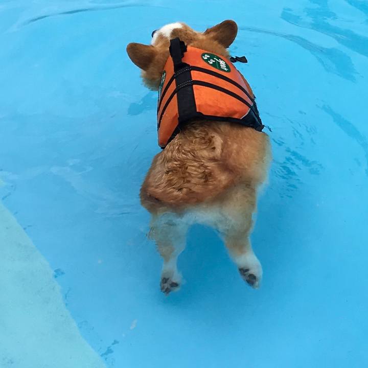 C2b3f6a0 10a6 4448 8e9c 42045cfec44c 1587087456078