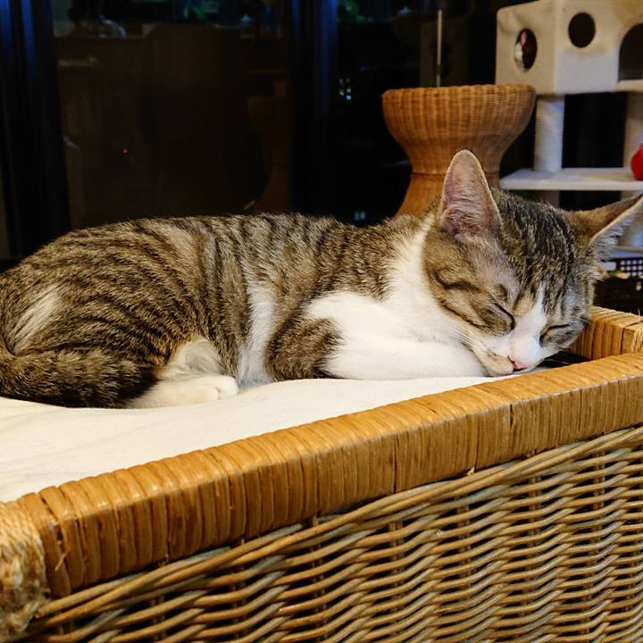 C2b3fce2 66fa 4991 98f4 a302180b1a6c 1548589576280