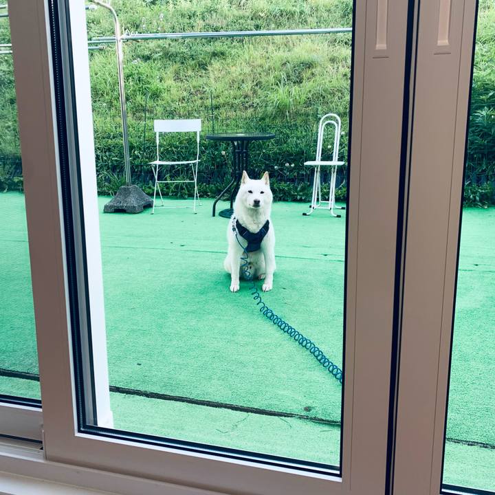 C2b430ad 63ac 463f 9831 513ea3a85d71 1664139494330