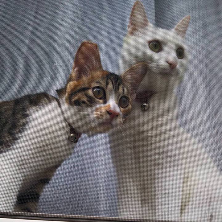 C2b438d5 0caa 42fc 9b47 60e1f0931154 1633050183458