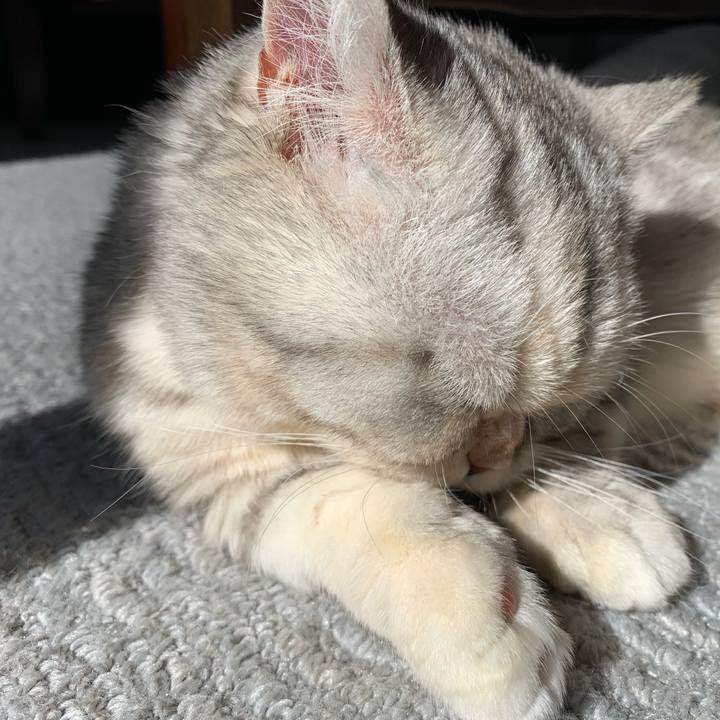 C2b43a0b cfe6 4d6d 9601 01d19f145cec 1709425680910