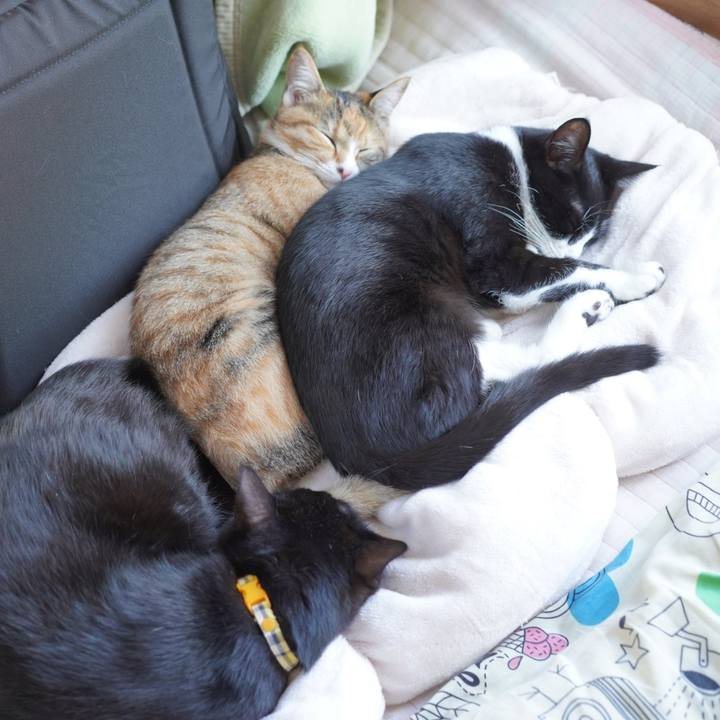 C2b45bc3 6ff2 4a12 b5cc 5784d2ad0008 1580654411326