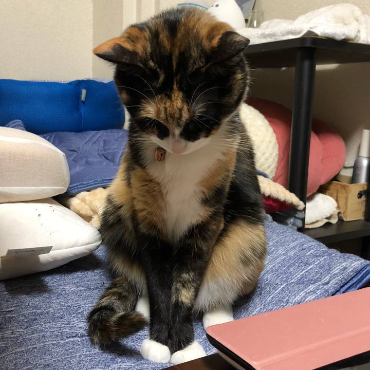 C2b47735 37f3 4c66 b5e3 1705ac52732a 1629248057983