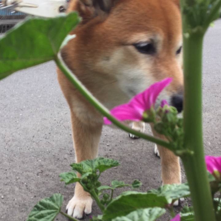 C2b48a41 2d24 468e b19b 7bdd9549674f 1556163665441