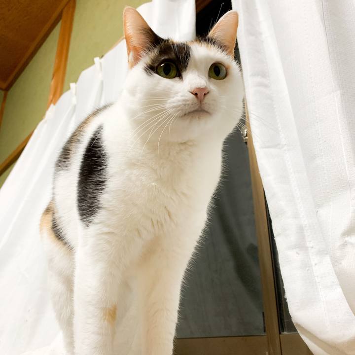 C2b49448 2cf0 444f 8ce3 dcdbd04cd119 1576202577265