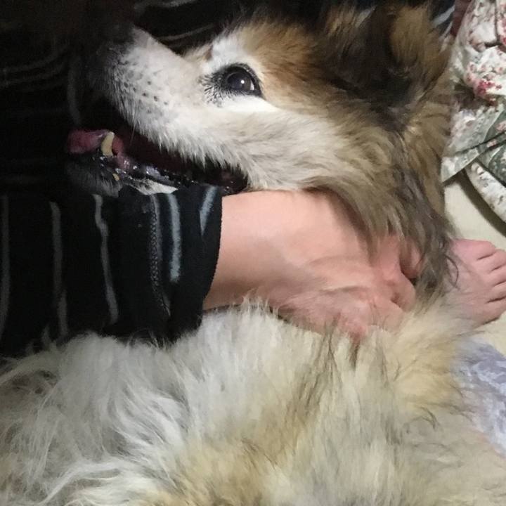 C2b49d37 f684 4e17 b5e9 06cc6e1fcf5e 1575859610967