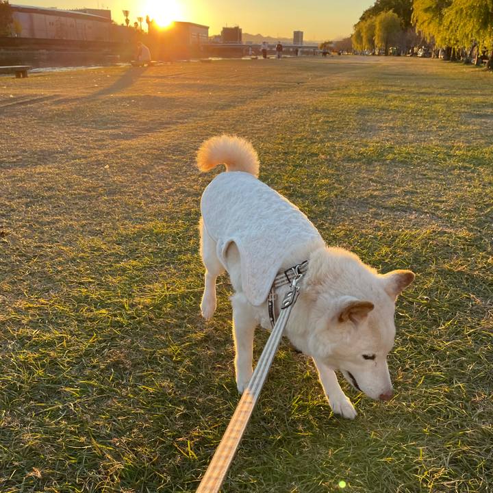 C2b4d1ad 318c 4f6c 9529 043f116e601d 1638111474739