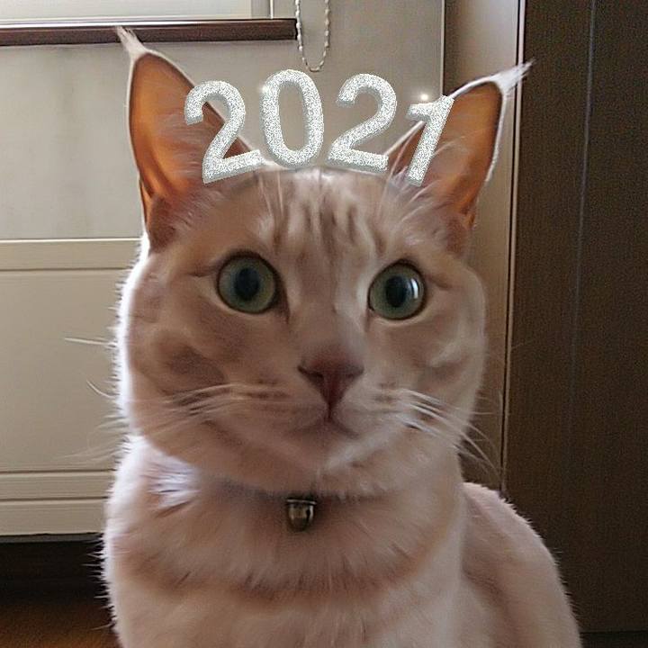 C2b4d44c 6623 4a70 a724 43fc42f3fafc 1612337173414