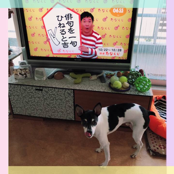 C2b4eba1 d86c 40d5 86ea 3d61886503ea 1540164013172