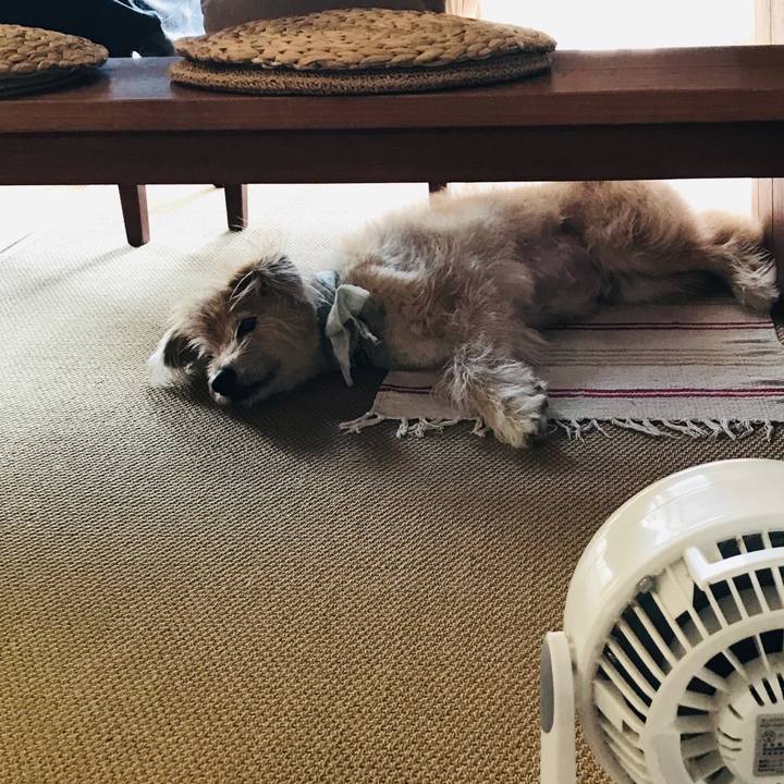 C2b4fcca 065c 49af 8da5 4368e0d90639 1564363035397