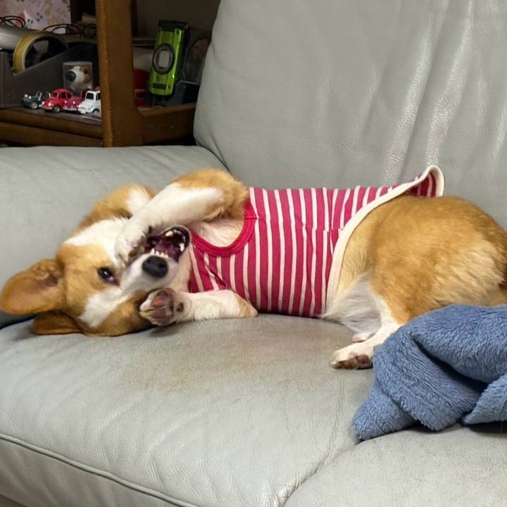 C2b50e61 229c 40fa ba13 6070dcf91dd5 1771857857013