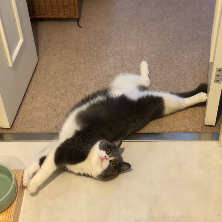 C2b51c8a 197e 45c8 821a fbcb79f0d7b0 1527761665075