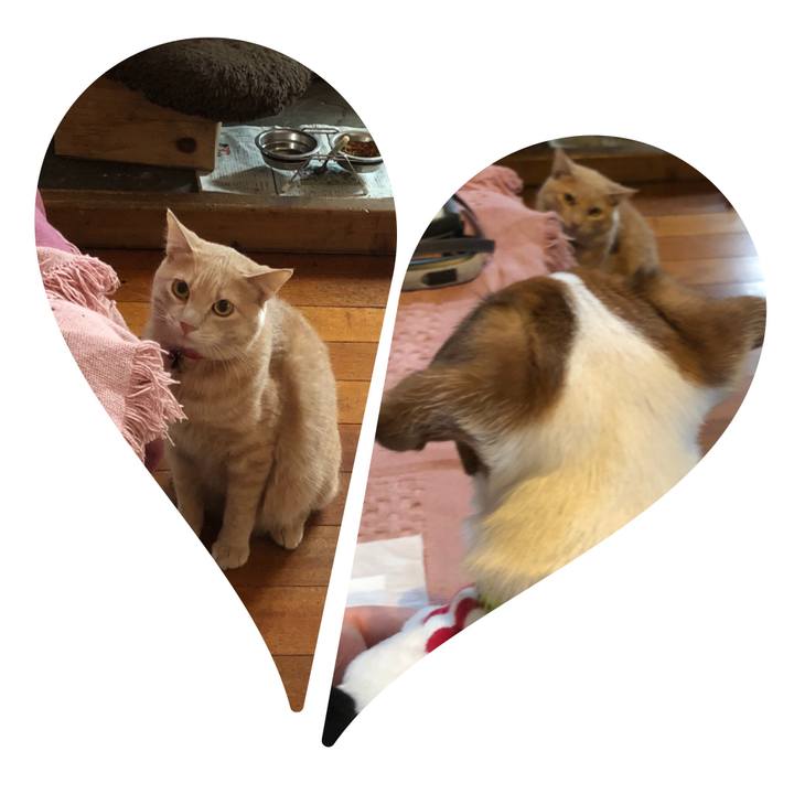 C2b52610 630e 4871 97ff 6c6447acd4bc 1515547412955