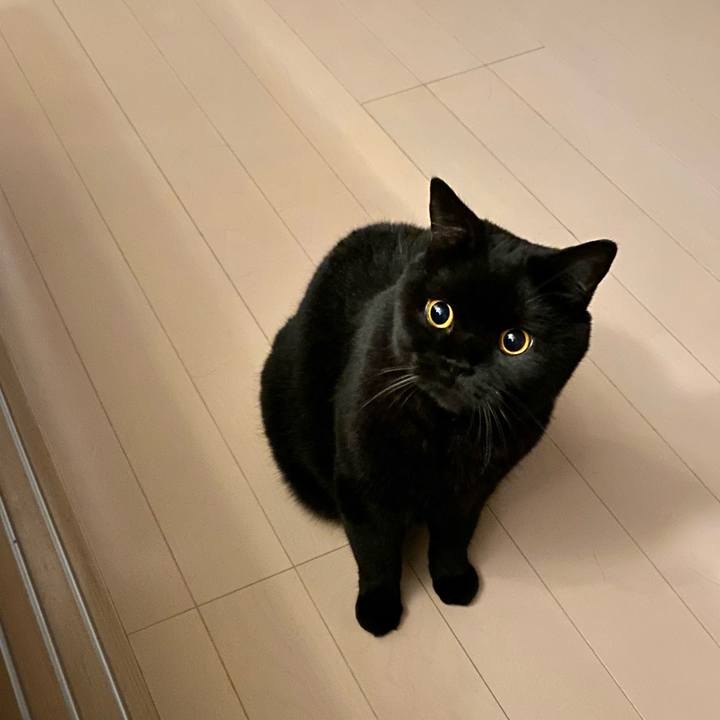 C2b534c2 bfe8 44b1 a5b0 c2cd09ee586b 1667480353320