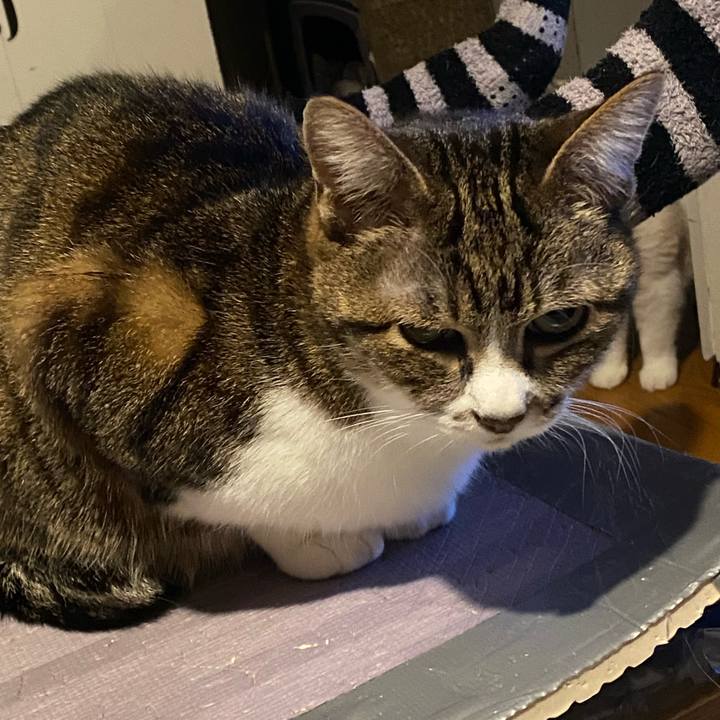 C2b57d18 d525 43f9 a8e3 96d2e2297acb 1681473219810