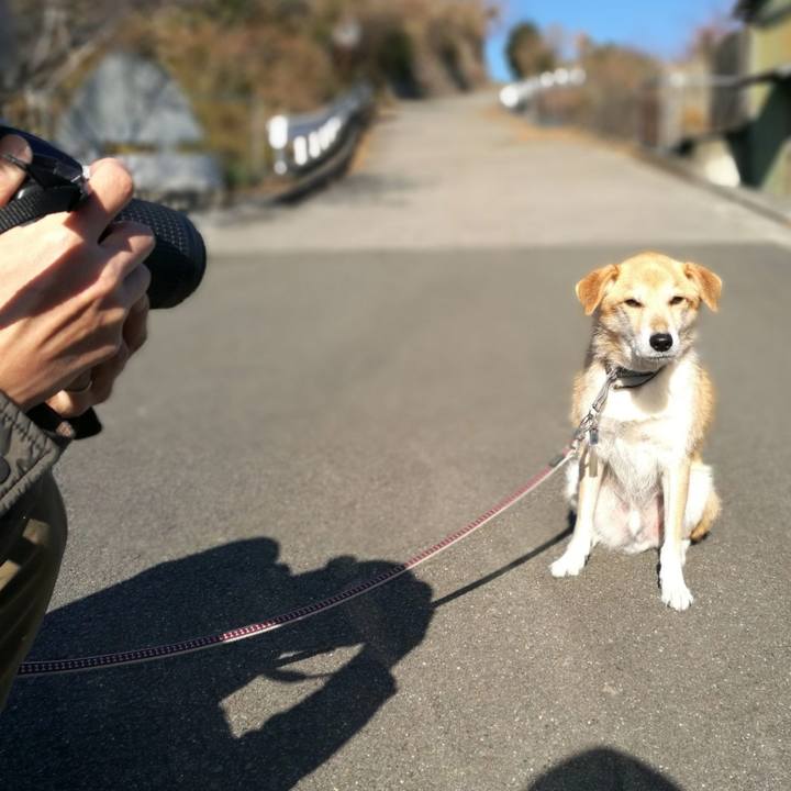 C2b58cb3 3722 4eee a8cf b1a8eb83cf1c 1514782809320