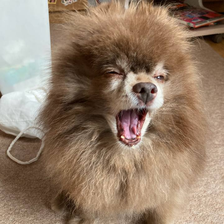 C2b5d2b7 0aa9 46a3 a8c8 01a698df16d4 1723411566979