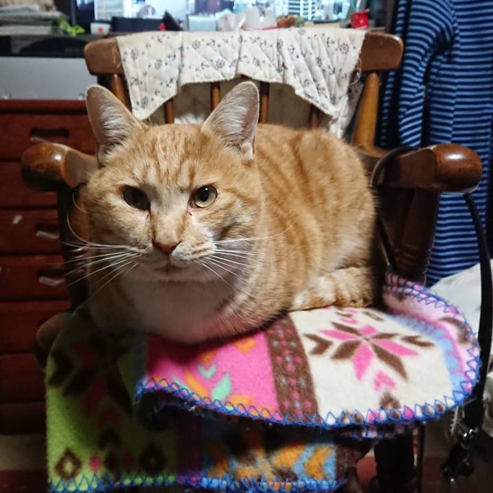 C2b67a6f 7b86 424d 964b 28419064062c 1578780610051