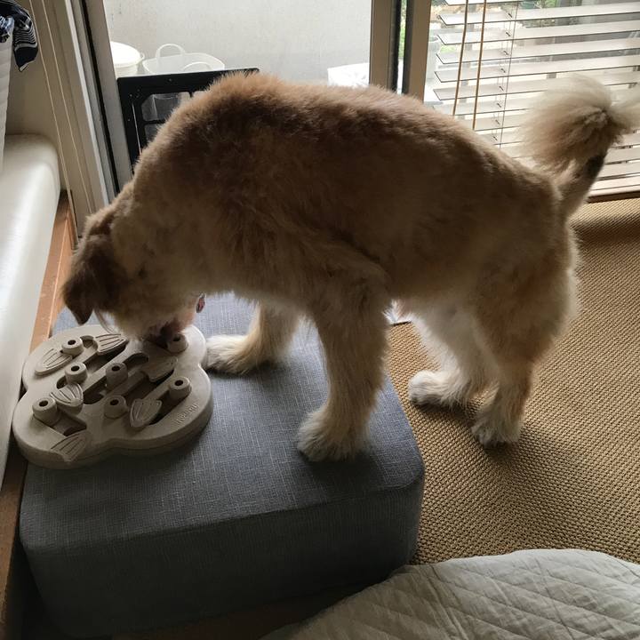 C2b69a72 1955 4623 958b 0847048cff62 1659584504570