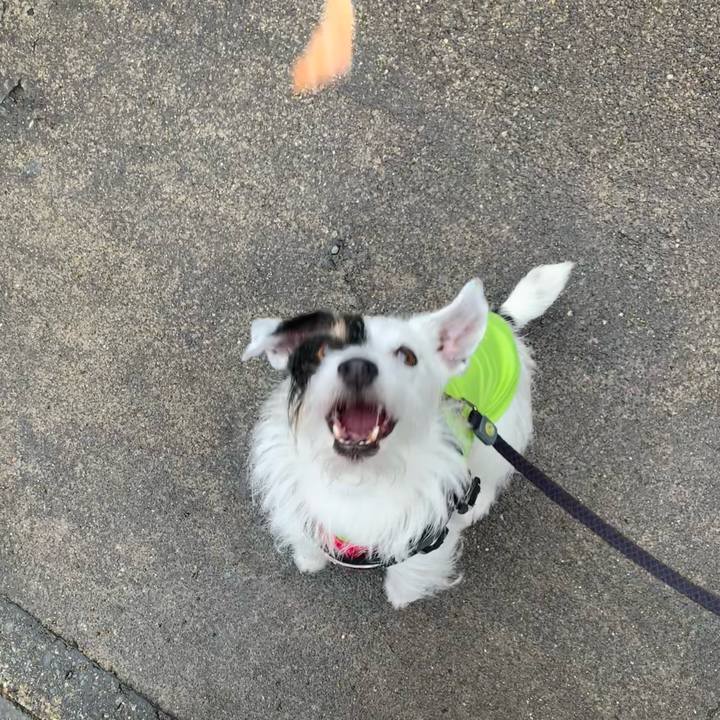 C2b6da77 5d2c 49ff 8ab3 6641a36b9e4f 1685494649148