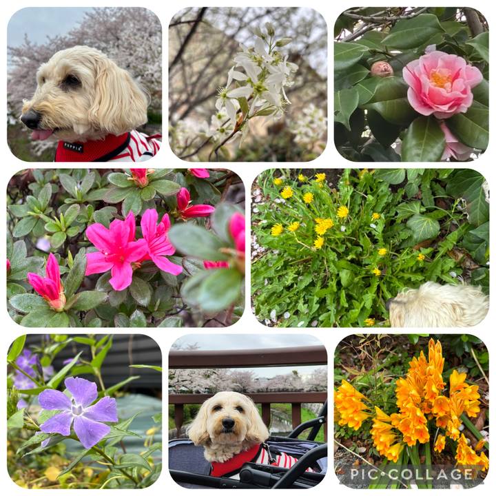 C2b6eefc 6dcc 410b 9af8 39c10a38f49d 1775020340594