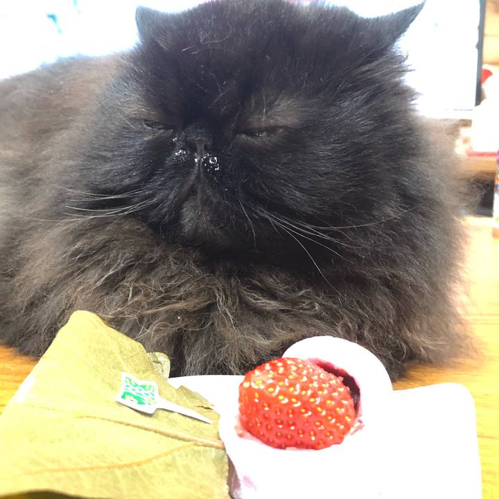 C2b75813 4d23 4300 bb9d b5b80e6db440 1620216974863