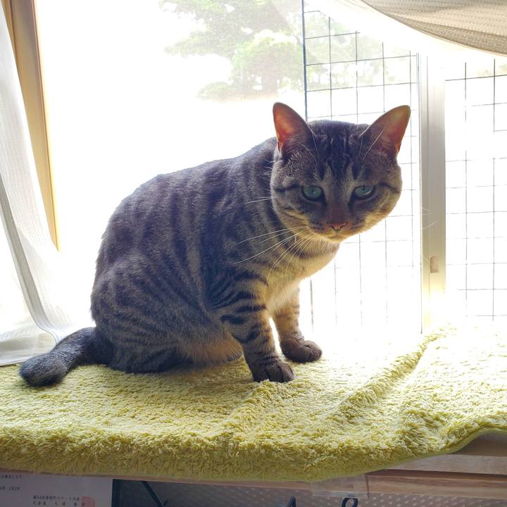 C2b75f4f fa5d 4ca2 914f 08a36c388dba 1720542677561