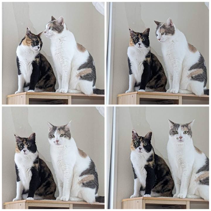 C2b762eb 120c 4eb1 a632 64c82f73dce3 1686382233330