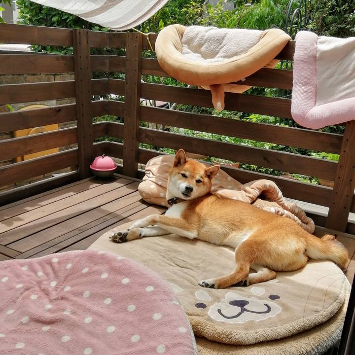 C2b76659 afb5 486b aca8 1ba9a72468c4 1624332902073